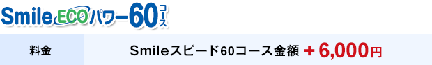 smile ecoパワー60